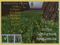 40x20 Fields at Soul Effects 40x20 Fields at Soul Effects