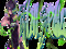 MiniSpoil 
