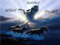Wild Spirits Horses