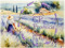 **Cap Provencia** **Cap Provencia**