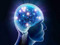 1 - THE BRAIN