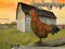 Barnyard Birds R Us Barnyard Birds R Us