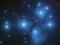 Wild Stars