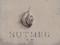 Nutmeg. Updates