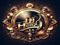 | Dj Heloq Fan Club |