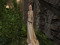 Lady Ariethalssa Lorissia Solinesti Lady Ariethalssa Lorissia Solinesti