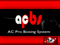 AC Pro Boxing System