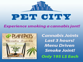Pet City Cannabis Dispensary