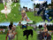 ➁ Zoey Redbird