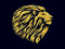 Lionhead Management Group