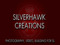 2. SilverHawk Creations 2. SilverHawk Creations