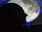 Moonman Music Moonman Music