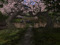 Yamato Island Visiteur