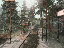 parcel image