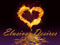 Elusive Desires Elusive Desires