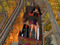 Roller Coaster 