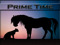-Prime Time Breedables Advertising- -Prime Time Breedables Advertising-