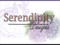 Serendipity Designs 