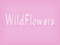 .  WildFlowers .