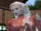 --ღ Felicia ღ-