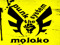 >>> moloko <<< >>> moloko <<<