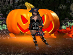 Contest entry 30