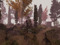 | Everdream |