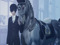 =Horse Photos