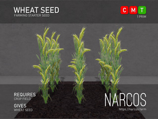 [Narcos] Wheat Seed (REZ)