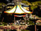 <RP>A Bit about me <RP>A Bit about me