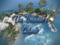The Dreamer's Island - Surf & Nude beach The Dreamer's Island - Surf & Nude beach