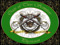 Tor Scimitar Hospital Tor Scimitar Hospital