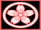 Sakura Okiya Sakura Okiya