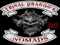 Tribal Dragon's Nomads Tribal Dragon's Nomads