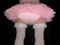 <3Diapered Sissys<3 <3Diapered Sissys<3