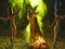 Witches Playground