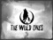 `The Wild Ones
