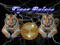 Tiger Palace V.I.P