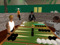Backgammon in the garden