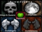 .:[Bloodlines]:. Kings & Queens