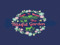 ! Blissful Gardens - Farm to Market 