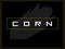  [ C O R N ] store info