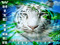 White Tiger Help & Learning Island White Tiger Help & Learning Island