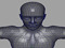 Mesh Dev