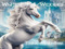 White Horse Weddings
