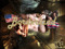 * BORDERLAND RLV FORCED SEX and OLD AINOKEA NEWBIE HANGOUT * BORDERLAND RLV FORCED SEX and OLD AINOKEA NEWBIE HANGOUT
