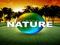 Virtual Environment Store Virtual Environment Store