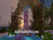 Aphrodite's Lore