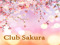 - Sakura -
