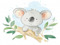 Koalas and bradipos
